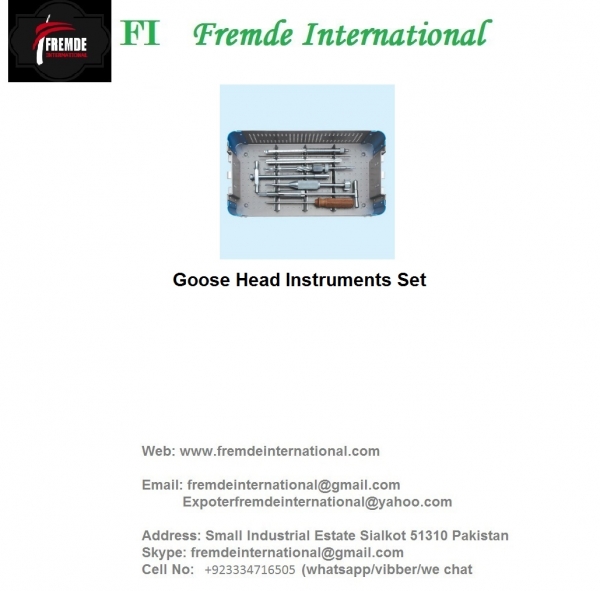 Goose Head Instruments Set border=