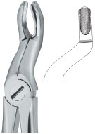  Tooth Extracting Forceps|(eng) border=