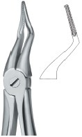 Tooth Ext Forceps border=